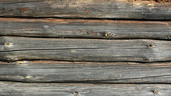 Close up de velhos troncos de madeira — Fotografia de Stock