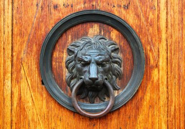 Bir doorknocker olarak bronz aslan başı ile eski ahşap kapı parçası