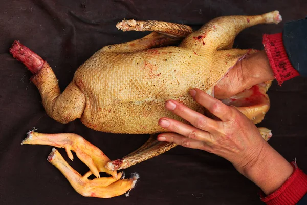 Goose evisceration, part of poultry processing. Removal of innards and entrails.