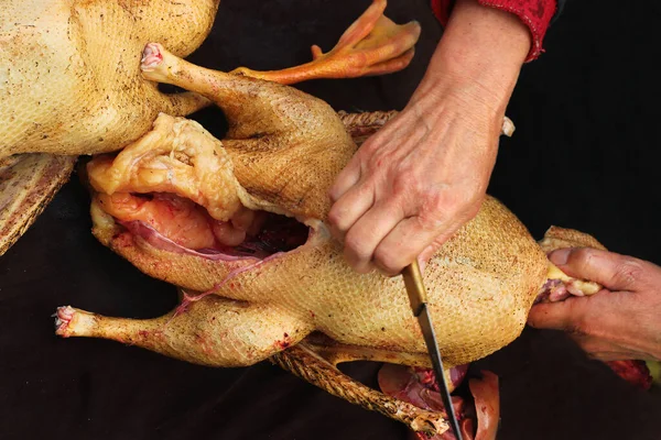 Goose evisceration, part of poultry processing. Removal of innards and entrails.