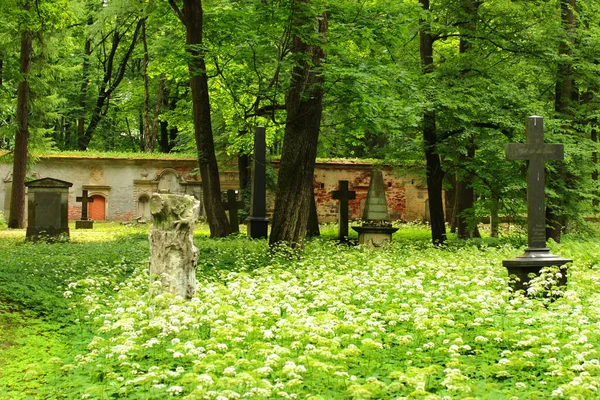 Riga Lettonie Juillet 2017 Nécropole Grand Cimetière Anciennement Principal Cimetière — Photo