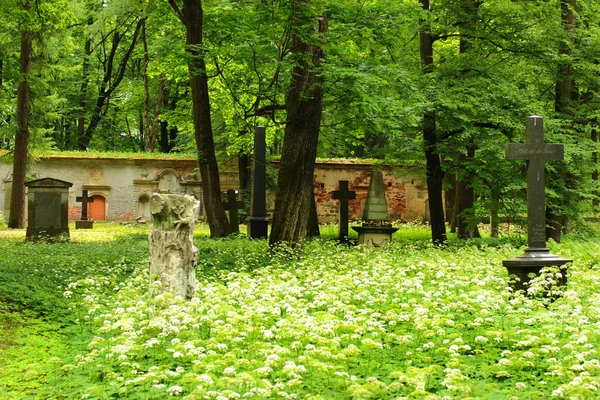 Riga Latvia July 2017 Great Cemetery Necropolis Formerly Principal Cemetery Stock Picture