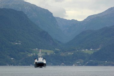 Norveç 'in Hordaland ilçesindeki Skanevik yakınlarında Skanevikfjorden manzarası.