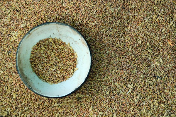 Wheat Grain Glume Chaff Background — Stock Photo, Image