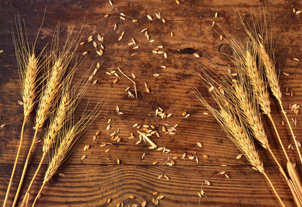 колосья пшеницы на деревянном фоне
