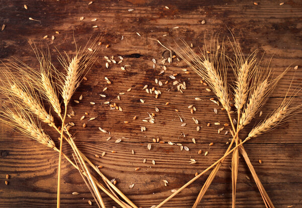 колосья пшеницы на деревянном фоне
