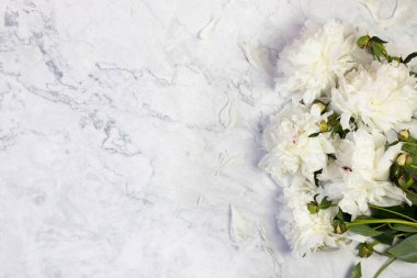 Yeşil üzerine güzel beyaz şakayık çiçeği. Yakın plan. Kartpostal, yazı, resim, düğün kartı, pankart, çiçekçi için çiçek arkaplanı