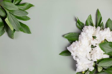 Yeşil üzerine güzel beyaz şakayık çiçeği. Yakın plan. Kartpostal, yazı, resim, düğün kartı, pankart, çiçekçi için çiçek arkaplanı