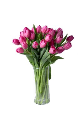 İzole edilmiş pembe laleler vazoda çiçek açar..