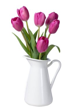 Beyaz arkaplandaki bir sürahide izole edilmiş pembe laleler.