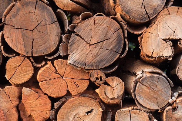 Pile of wood logs storage — Stock Photo, Image