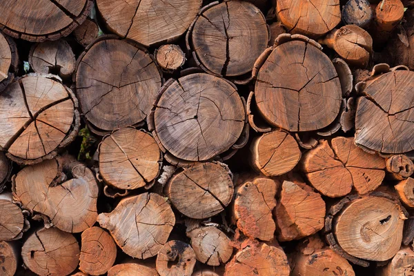 Pile of wood logs storage — Stock Photo, Image