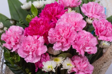 Su damlası ile karanfil çiçek