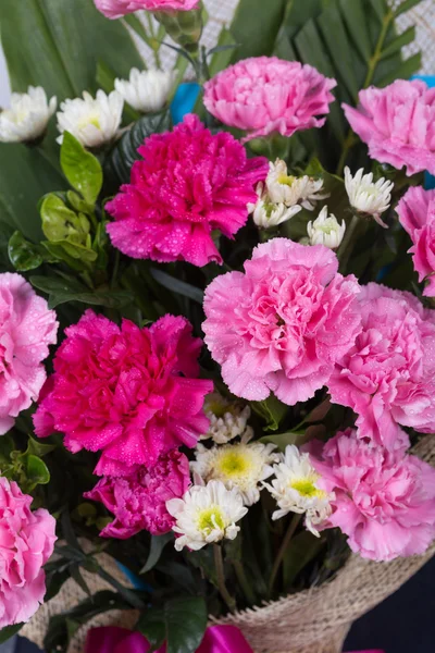 Nelken blühen mit Wassertropfen — Stockfoto