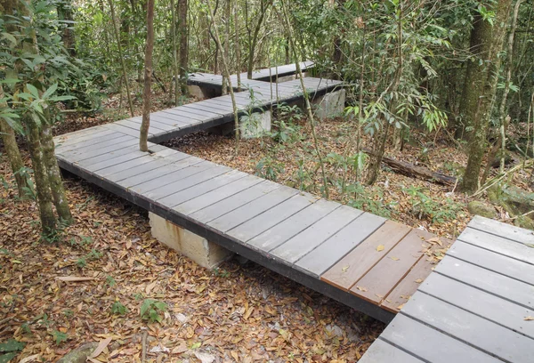 在森林里的木制浮桥 — 图库照片