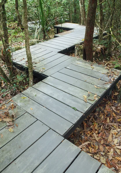 Wooden boardwalk in forest — Stock Photo, Image