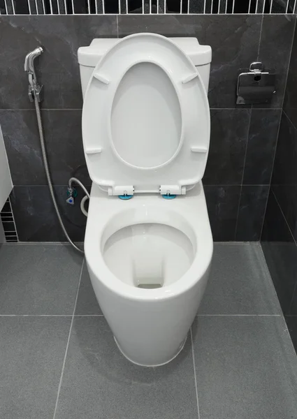 WC-skål i ett badrum — Stockfoto