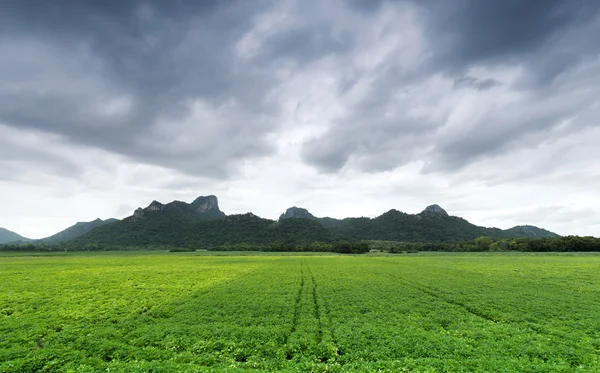 Khao Jeen Lae i molnig dag, stora berg på Thailand — Stockfoto