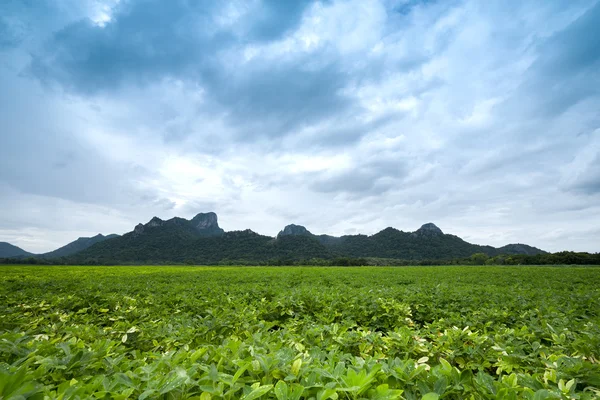 Khao Jeen Lae i molnig dag, stora berg på Thailand — Stockfoto