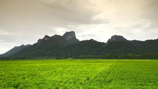 Khao Jeen Lae em dia nublado, grande montanha na Tailândia — Fotografia de Stock