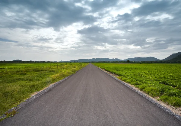 Asphalt road between field in cloudy day, country side at Lopbur — Stock Photo, Image