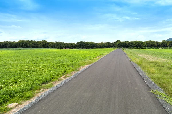 Asphaltstraße zwischen Feld mit blauem Himmel, Landseite bei lopbur — Stockfoto