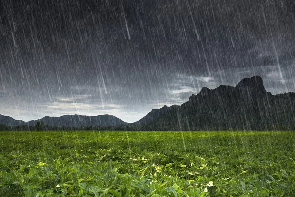 Βροχή που πέφτει στη Καο Jeen Λαε, βουνό σε Λοπμπούρι, Ταϊλάνδη — Φωτογραφία Αρχείου