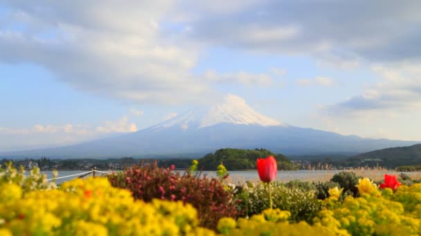 Timelapse Monte Fuji Vista Desde Lago Kawaguchiko Japón — Vídeo de stock