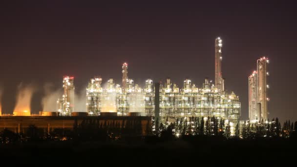 Time Lapse Della Raffineria Petrolio Impianto Industriale Con Cielo Notte — Video Stock