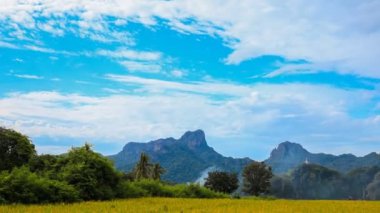 4k Sunhemp ya da Crotalaria Juncea, Khao Jeen Lae dağ geçmişi, Lopburi, Tayland