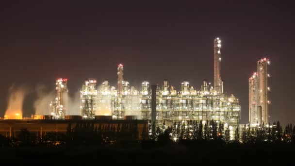 Time Lapse Della Raffineria Petrolio Impianto Industriale Con Cielo Notte — Video Stock