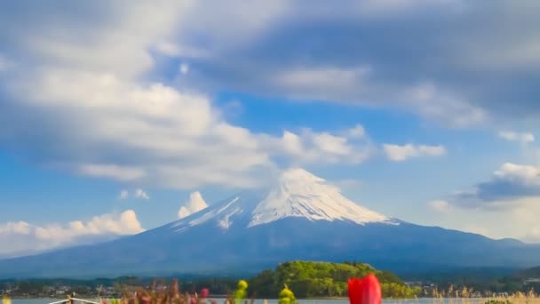 Timelapse Monte Fuji Vista Desde Lago Kawaguchiko Japón — Vídeo de stock