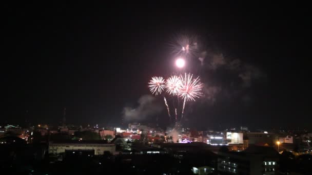 Prachtig Vuurwerk Boven Hemel Nachts — Stockvideo