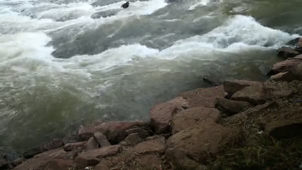 Onde Che Scorrono Nel Fiume Con Pietra — Video Stock