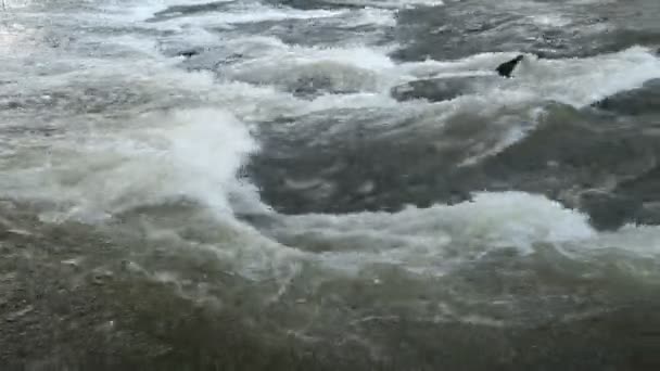 Ondas Que Fluem Rio — Vídeo de Stock