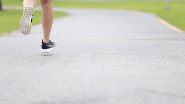 在公园慢跑的妇女 — 图库视频影像