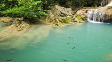 Kanchanaburi, Tayland 'da Neolissochilus stracheyi balığıyla Erawan Şelalesi' nin 4k-zaman atlaması