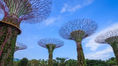 Turistin hızlandırılmış turizmi Singapur körfezi yakınlarındaki bahçelerin süperağacını ziyaret etti 