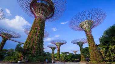 Turistin hızlandırılmış turizmi Singapur körfezi yakınlarındaki bahçelerin süperağacını ziyaret etti 