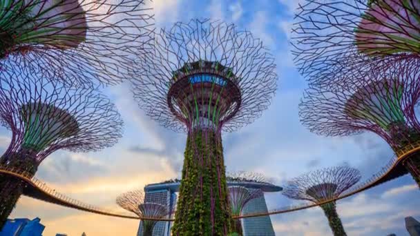 Dia Noite Tempo Lapso Jardins Pela Baía Com Luz Singapura — Vídeo de Stock