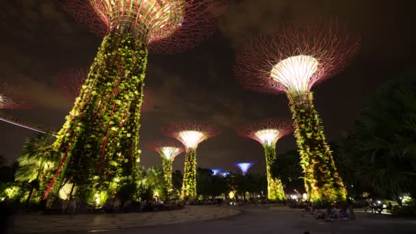 Oidentifierad Turist Besökte Ljusshow Trädgårdar Vid Bukten Natten Singapore Den — Stockvideo