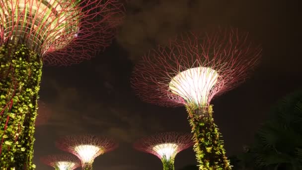 Time Lapse Gardens Öbölben Fény Szingapúrban — Stock videók