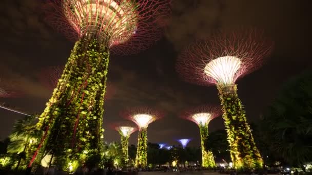 Spectacle Lumineux Non Identifié Jardins Près Baie Nuit Singapour Août — Video