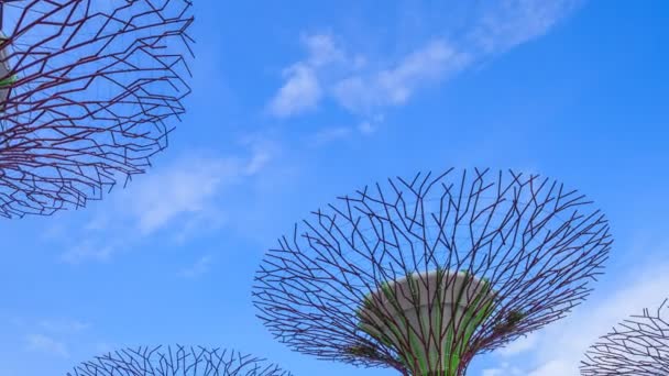 Time Lapse Jardins Près Baie Avec Ciel Bleu Singapour — Video