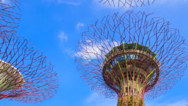 Time Lapse Gardens Bay Blue Sky Singapore — Stock video