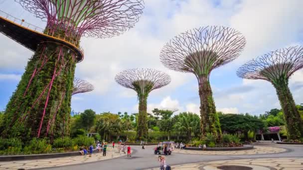 Turistin Hızlandırılmış Turizmi Ağustos 2017 Singapur Körfezi Yakınlarındaki Bahçelerin Süperağacını — Stok video