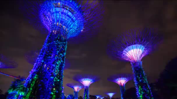 Time Lapse Gardens Öbölben Fény Szingapúrban — Stock videók