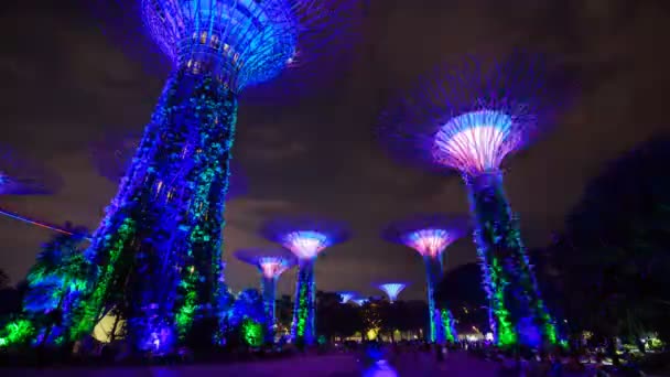 Neznámý Turista Navštívil Světelnou Show Zahrad Zátoce Noci Singapur Srpna — Stock video