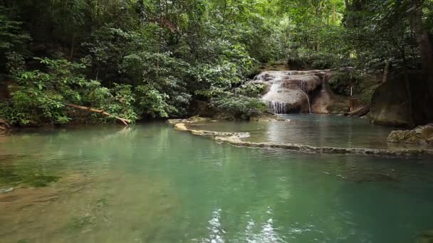Nível Cachoeira Erawan Com Peixes Neolissochilus Stracheyi Província Kanchanaburi Tailândia — Vídeo de Stock