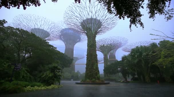 Superalbero Giardini Dalla Baia Con Pioggia Cadente Singapore — Video Stock